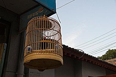 《红霞岛》3号更新补丁上线 官方承诺还在继续开发